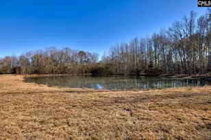 364 Cantey Ln, Rembert, SC 29128 - Photo 27