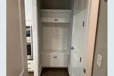 2019 Ludlow Place, Chapin, SC 29036 - Photo 15