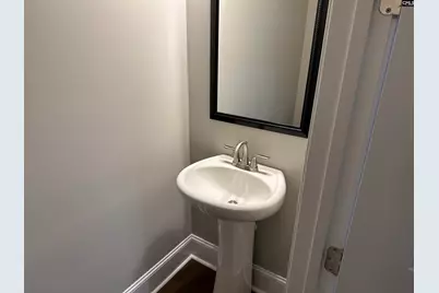 2019 Ludlow Place, Chapin, SC 29036 - Photo 17