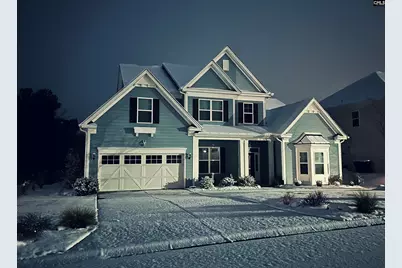 2019 Ludlow Place, Chapin, SC 29036 - Photo 3