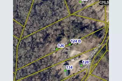 124 Boggy Branch Ct., Gaston, SC 29053 - Photo 1