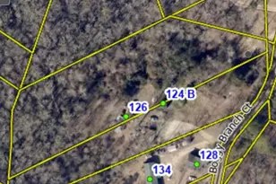 124 Boggy Branch Ct, Gaston, SC 29053 - Photo 1