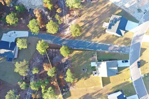 436 Sasanqua Ln, Lexington, SC 29073 - Photo 3