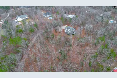 151 Harrison Hill Court, Gilbert, SC 29054 - Photo 41