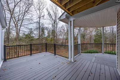 151 Harrison Hill Court, Gilbert, SC 29054 - Photo 37