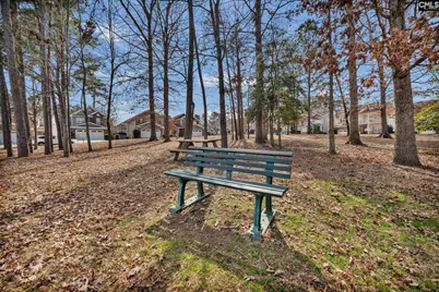 216 Ashmore Lane, Lexington, SC 29072 - Photo 41