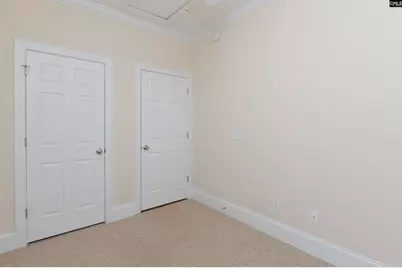 39 Palmetto Wood Court, Irmo, SC 29063 - Photo 31