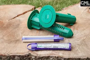 310 Caballeros Trail, Prosperity, SC 29127 - Photo 3