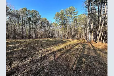 0 Circle H Woods Road, Prosperity, SC 29127 - Photo 5