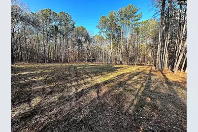0 Circle H Woods Road, Prosperity, SC 29127 - Photo 3