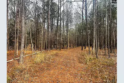 0 Circle H Woods Road, Prosperity, SC 29127 - Photo 7