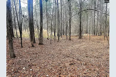 0 Circle H Woods Road, Prosperity, SC 29127 - Photo 9