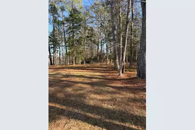 259 Gravel Road, Prosperity, SC 29127 - Photo 21
