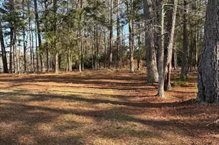 259 Gravel Rd, Prosperity, SC 29127 - Photo 21