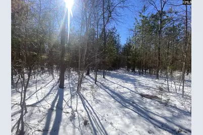 0 Plantation Acres Road, Newberry, SC 29108 - Photo 5