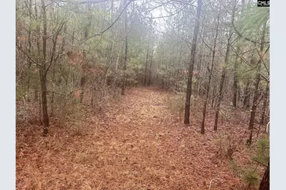0 Plantation Acres Road, Newberry, SC 29108 - Photo 3