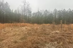 0 Plantation Acres Rd, Newberry, SC 29108 - Photo 1