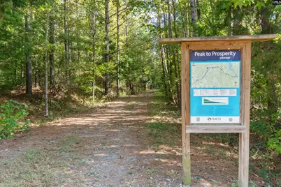 294 Caballeros Trail, Prosperity, SC 29127 - Photo 37