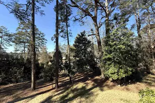 6033 Robinwood Rd, Columbia, SC 29206 - Photo 53