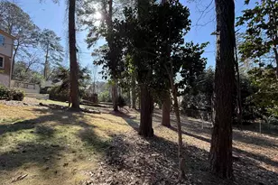 6033 Robinwood Rd, Columbia, SC 29206 - Photo 53