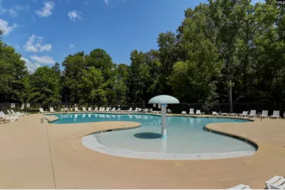 426 Crawley Lane, Chapin, SC 29036 - Photo 49