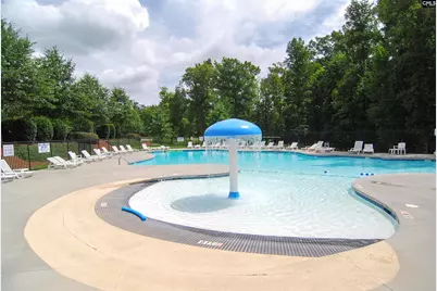 426 Crawley Lane, Chapin, SC 29036 - Photo 45