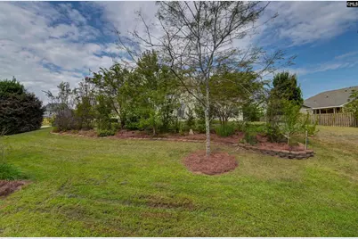 426 Crawley Lane, Chapin, SC 29036 - Photo 41