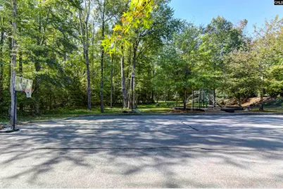 426 Crawley Lane, Chapin, SC 29036 - Photo 47