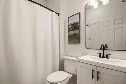 258 Walter Rawl, Lexington, SC 29072 - Photo 19