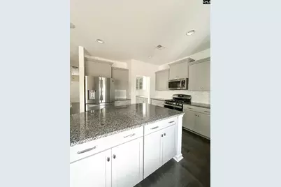1213 Portrait Hill Drive, Chapin, SC 29036 - Photo 15