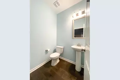 1213 Portrait Hill Drive, Chapin, SC 29036 - Photo 33