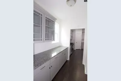 1213 Portrait Hill Drive, Chapin, SC 29036 - Photo 39