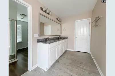 1213 Portrait Hill Drive, Chapin, SC 29036 - Photo 19
