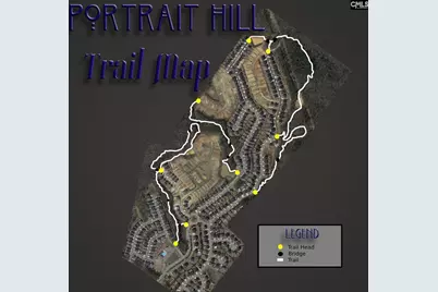 1213 Portrait Hill Drive, Chapin, SC 29036 - Photo 49