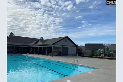 1213 Portrait Hill Drive, Chapin, SC 29036 - Photo 47