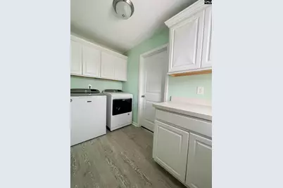 1213 Portrait Hill Drive, Chapin, SC 29036 - Photo 35