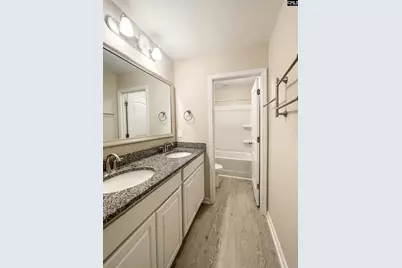 1213 Portrait Hill Drive, Chapin, SC 29036 - Photo 47