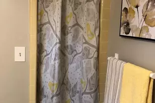 221 Hickory Hill Trail, Elgin, SC 29045 - Photo 9