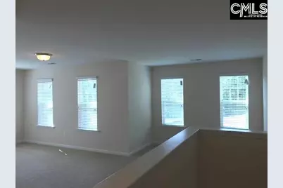 1192 Portrait Hill Drive, Chapin, SC 29036 - Photo 9