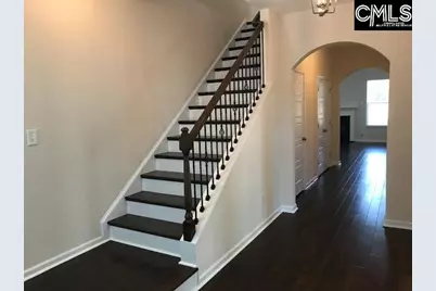 1192 Portrait Hill Drive, Chapin, SC 29036 - Photo 7