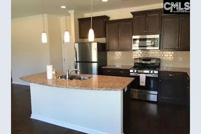 1192 Portrait Hill Drive, Chapin, SC 29036 - Photo 3