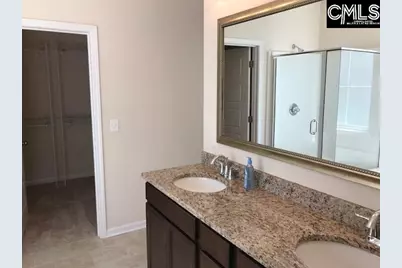 1192 Portrait Hill Drive, Chapin, SC 29036 - Photo 19