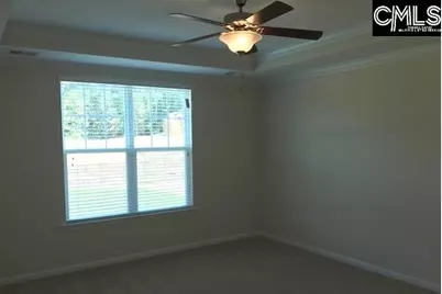 1192 Portrait Hill Drive, Chapin, SC 29036 - Photo 17
