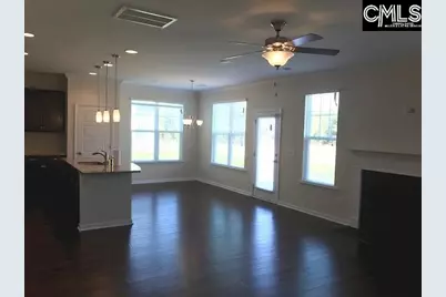 1192 Portrait Hill Drive, Chapin, SC 29036 - Photo 5