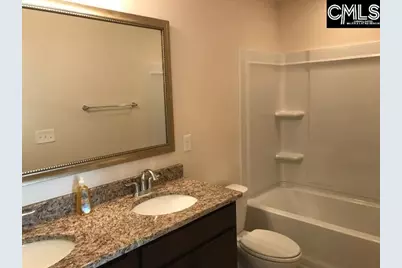 1192 Portrait Hill Drive, Chapin, SC 29036 - Photo 15