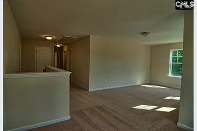 1192 Portrait Hill Drive, Chapin, SC 29036 - Photo 11