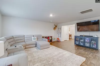 325 Chetsley Drive, Lexington, SC 29073 - Photo 9