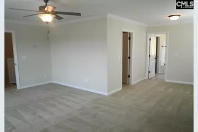 297 Massey Circle, Chapin, SC 29036 - Photo 13
