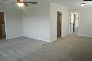 297 Massey Cir, Chapin, SC 29036 - Photo 13