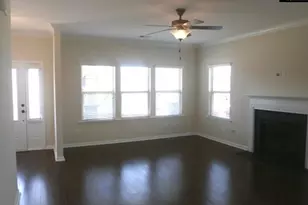 297 Massey Cir, Chapin, SC 29036 - Photo 3